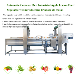 Machine de nettoyage à bulles d'air KAYA avec moteur 50 kW, capacité de 500 kg, ligne de lavage/séchage des fruits et légumes - Product Image 5