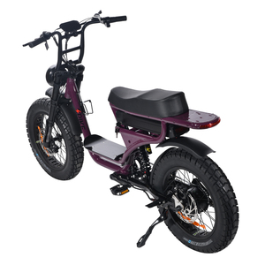 Bicicletas Eléctricas de 48V con Certificación EN, Neumáticos Anchos, Doble Suspensión, E-<span class=keywords><strong>Fatbike</strong></span>, Bicicleta de Carretera, La Don Souris Cycle, <span class=keywords><strong>Electro</strong></span> Fahrrad - Product Image 2
