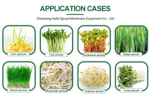 Versand behälter Hydro po nische Anbaus ysteme Hydro po nisches Gras für Tier fütterung behälter Hydro po nisches Futter grass ystem - Product Image 6
