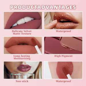أحمر شفاه مخصص جديد يدوم طويلاً ماركة صبغة شفاه مثيرة أحمر شفاه غير لامع عارية أطقم أحمر شفاه مستحضرات تجميل مقاومة للماء غير لامع - Product Image 6