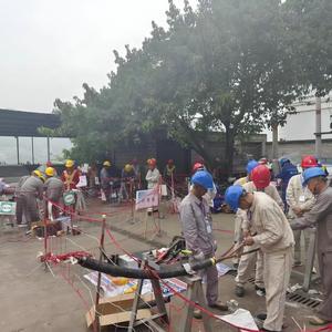 Poste de transformation monophasé/triphasé 110 kV pour l'alimentation électrique des centres de données en milieu domestique - Product Image 6