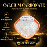 Carbonate de Calcium (GCC) en Poudre Blanche de Qualité Industrielle à Faible Absorption d'Huile pour Masterbatch PVC, Peinture et Encre