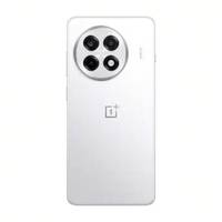 Smartphone Android OnePlus Ace 5 Pro 5G d'origine, écran incurvé 6,7 pouces 120 Hz 1,5K 8T LTPO AMOLED, Snapdragon 8 Elite, français/espagnol