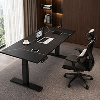 Escritorio Ergonómico Inteligente de Altura Ajustable ODM/OEM, Mesa de Oficina Eléctrica para Trabajar Sentado o De Pie, Escritorio Motorizado Personalizado para Gimnasio
