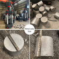 Presse à briquettes de copeaux de fonte gris pour la récupération en fonderie