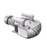 Bombas de Vacío Rotativas de Paletas Secas Trifásicas de -80kpa, Sin Aceite, 250m3/h, Bomba de Vacío de Funcionamiento en Seco de 5.5kw KVF250