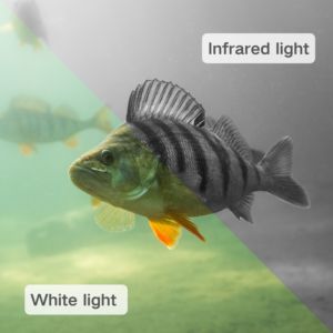 Để cho tần số cao rõ ràng trở thành tiêu chuẩn Marine hồ bơi HD <span class=keywords><strong>Zoom</strong></span> PoE dưới nước An Ninh sự lựa chọn mới dưới nước IP <span class=keywords><strong>Camera</strong></span> - Product Image 4