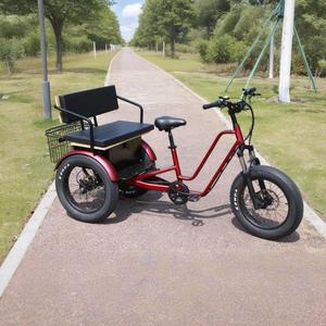 Tricycle électrique longue portée, 7 vitesses, vélo cargo électrique 20 pouces, 48V 1000W, trike électrique à 3 roues - Product Image 1