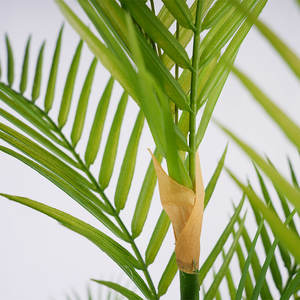 Plante artificielle en <span class=keywords><strong>palmier</strong></span> Areca de 125 cm, aspect naturel, résistante aux UV, durable, décoration d'arbre artificiel <span class=keywords><strong>pour</strong></span> le bureau - Product Image 5