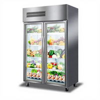 Congélateur vertical de cuisine de restaurant d'acier inoxydable Congélateur commercial d'équipement de réfrigérateur Congélateur droit