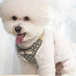 Qbellpet Üreticisi Özel Tasarım Küçük Köpek Tasması Köpek Yürüyüş Yeleği Tasması ve Tasma Seti Köpekler ve Kediler için Tasmalar - Product Image 6