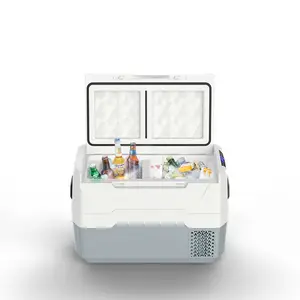 WAYCOOL TEG3530Lカー冷蔵庫用ミニ冷蔵庫カークーリングユニット卸売カスタマイズ