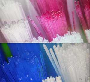 <span class=keywords><strong>Brosse</strong></span> à dents électrique pour enfants, niveau IPX4 étanche, vibrant, tête interchangeable, ustensile à piles - Product Image 5