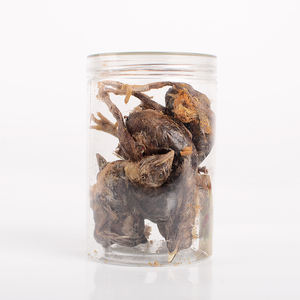 Snacks lyophilisés personnalisés pour animaux de compagnie Vente en gros Granulés de caille lyophilisés Snack lyophilisé pour chat Nourriture pour chien - Product Image 3