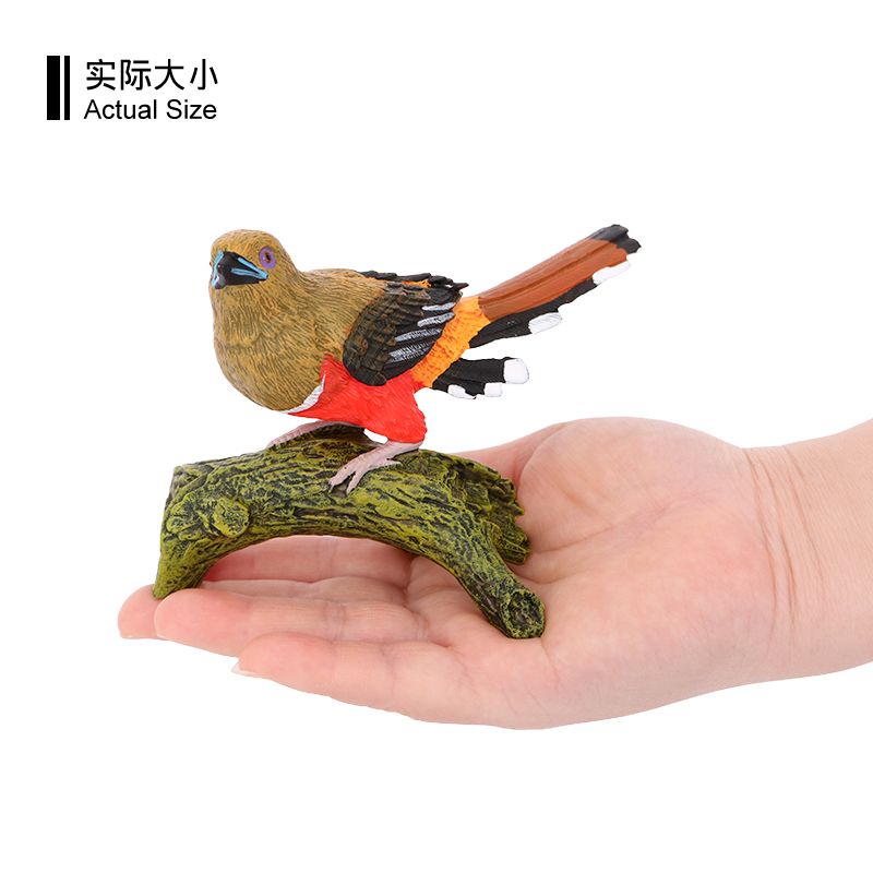 3616 Pájaro Trogón