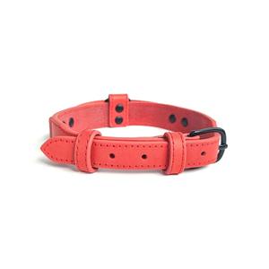 UFBemo Leather Dog Collar Adjustable Durable Breathable For Walking Training Medium Large Small Dogs Pet Supplies - Product Image 3