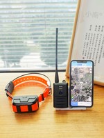 Traceur GPS intelligent pour animaux Star Spear X20/X22 Hound Radio Locator Dashan, équipement de collier GPS sans signal, satellite Beidou, métal IPX7