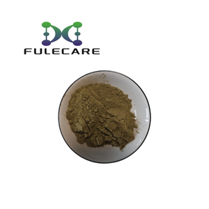 Polvo de Hoja de Guayusa, Extracto Natural de Guayusa en Polvo - Product Image 1