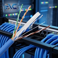Câble Réseau Intérieur UTP CAT6 BC 4 Paires 23AWG 24AWG Haut Débit Gigabit 100m PVC Prix Usine