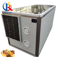Industriële commerciële zonne-elektrische PLC-gestuurde dual-purpose voedseldroger voor het drogen van fruit en groenten, capaciteit 20-100 kg