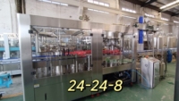 Bouteille en verre à grande vitesse boisson non alcoolisée carbonatée faisant la ligne de remplissage de mélange de CO2 d'eau carbonatée de machine
