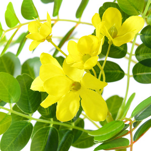 Branches d'Arbre à Locustiers Artificielles Jaune 71 Pouces en Plastique pour Décoration Florale et Arrangements - Product Image 4