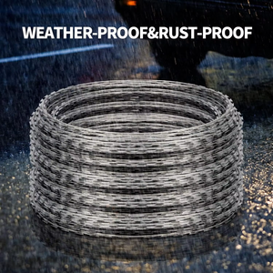 <span class=keywords><strong>Alambre</strong></span> <span class=keywords><strong>de</strong></span> Púas Antiescalada en Rollo, Acero Inoxidable/Hierro, Recubrimiento <span class=keywords><strong>de</strong></span> PVC Galvanizado, Protección Perimetral Duradera para Granjas y Carreteras QIJIANG - Product Image 5