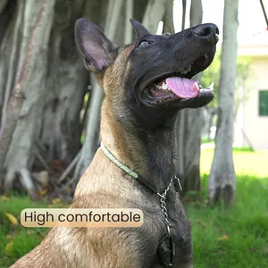 Offer Sample ALLOY Collars. Combat Collars Harness Leash Dog Collar