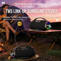Haut-parleur d'extérieur étanche, double basses, double aigus, 4 haut-parleurs, Bluetooth 5.3, lumière d'ambiance RVB, design portable et maniable