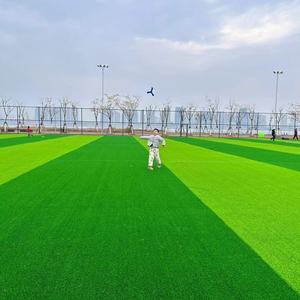 Lingwo 50mm Sports Football Herbe Lingwo Tewtw-Mao <span class=keywords><strong>Evergreen</strong></span> <span class=keywords><strong>Gazon</strong></span> Artificiel Herbe Synthétique Personnalisé pour Le Football - Product Image 4