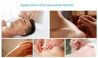 Aiguille d'acupuncteur à poignée en argent stérile jetable acupuncture avec tube