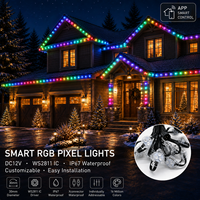 Tube lumineux à pixels RGB 30 mm 12V 24V WS2811 LED adressable, éclairage extérieur permanent pour avant-toit, lumières de Noël intelligentes à changement de couleur