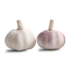 Need 2024 Crop China Garlic In Container 1x40'' (Fresh Red Garlic/Fresh White Garlic)