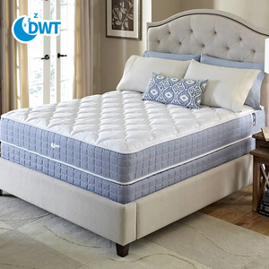 Nữ Hoàng Kích Thước Giường Trong Một Hộp Hiện Đại Nén Mùa Xuân Ngủ Nệm Chuyển Đổi Đồ Nội Thất Nhà Cho Phòng Ngủ - Product Image 1