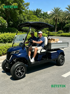 Carrito de Golf Eléctrico Compacto de 2 Plazas, Ligero y de Bajo Consumo para Caminos No Públicos - Product Image 1