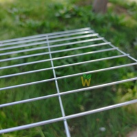 Cages de transport pliables pour poulets de chair