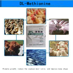 Bán số lượng lớn thức ăn 99% cấp dl-methionine cho 25 kg dl-methionine cho thức ăn cho lợn và gia súc - Product Image 5