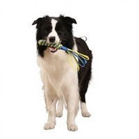 Balle de jeu durable pour chien, jouet interactif à mâcher en nylon, taille moyenne, pour chiens et chats, nettoyage des dents, écologique, utilisation intérieure/extérieure, anti-anxiété