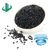 Charbon actif granulaire à base de coque de noix de coco