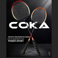 Offre Spéciale : Ensemble de Raquettes de Badminton en Alliage d'Aluminium Légères et Durables, Tête Isométrique, Cadre à Joint en T Anti-Vent pour Débutants