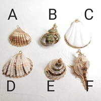 Dainty Bohème Pendentif Étanche En Acier Inoxydable Coquillage Conque Naturel 18K Or Trempé Shell Collier D'été Plage Bijoux