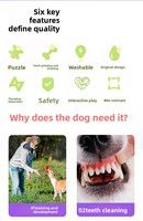 En stock, jouets pour chiens en caoutchouc naturel en forme d'os, luxe classique, nettoyage des dents, interactifs, durables