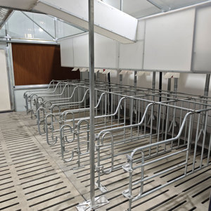 <span class=keywords><strong>Lit</strong></span> d'accouchement pour porcs à conception sécurisée et efficace, cage <span class=keywords><strong>de</strong></span> maternité pour porcelets, installation pour élevage porcin destinée à <span class=keywords><strong>la</strong></span> modernisation <span class=keywords><strong>des</strong></span> exploitations - Product Image 3