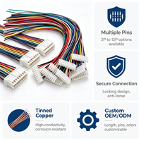 Câble personnalisé avec connecteur JST XH 2P-12P, pas de 2,54 mm, pour contrôleur de vol de drone, modèle RC, imprimante 3D