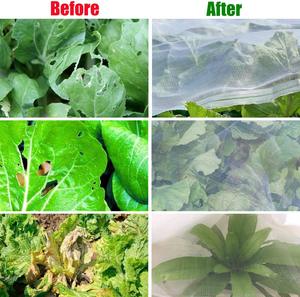 100gsm HDPE chống côn trùng lưới lưới Túi bảo vệ cây ăn quả bìa cho các nhà máy và rau cắt-to-kích thước dịch vụ có sẵn - Product Image 2