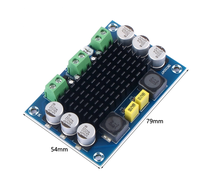 TPA3116D2 Carte d'amplificateur de puissance numérique mono 100W, module d'amplificateur audio monocanal de classe D DC12-26V pour subwoofer, HiFi