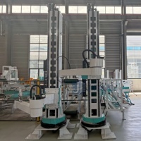 Palettiseur Colonne Haute Performance LHC-120-2400 – Machine d'Emballage pour Sacs, Seaux et Boîtes – Faible Coût, Facile à Utiliser