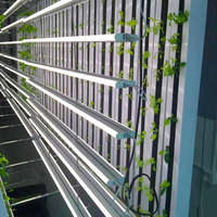 Système hydroponique vertical pour la culture de légumes en serre en 2020, système de culture en gouttière NFT en intérieur, légumes en croissance