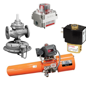Actionneur pneumatique série Bettis avec DVC6200 intelligent et réducteur 1098-EGR - Product Image 1