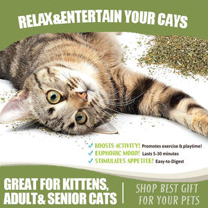 Giocattolo Premium Ecologico per Gatti con Erba Gatta Essiccata - 100% Naturale, Foglie per Alleviare l'Ansia, Commestibile, Senza Additivi, per Uso Interno/Esterno - Product Image 3